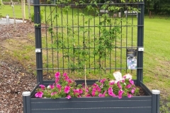 IMG-20190620-WA0002