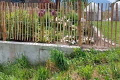 IMG-20230531-WA0014