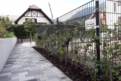 IMG-20190721-WA0001