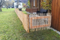 IMG-20201206-WA0004
