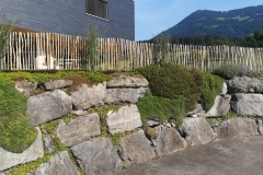IMG-20211010-WA0002