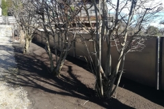 IMG-20221001-WA0005